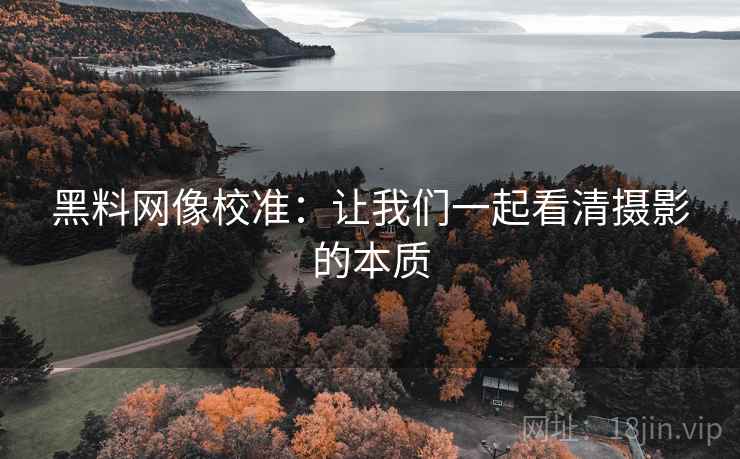 黑料网像校准：让我们一起看清摄影的本质